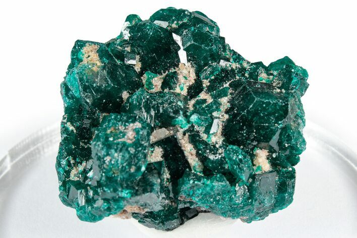 Sparkly Emerald-Green Dioptase Crystal Cluster - Congo #347857